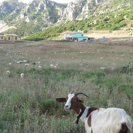 Agriturismo Sa Rocca Иглесиас Экстерьер фото