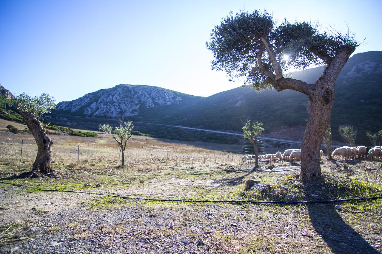 Agriturismo Sa Rocca Иглесиас Экстерьер фото